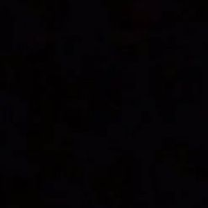 Meet your Posher, Liu kang